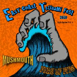 Fury Of Five : East Coast Tsunami Fest 2010 Split vol. 1